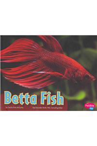 Betta Fish