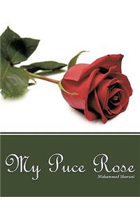 My Puce Rose