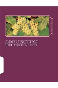 Connecting To The Vine