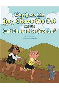 Why Does the Dog Chase the Cat and the Cat Chase the Mouse?