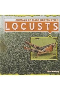 Locusts