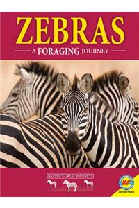 Zebras: A Foraging Journey