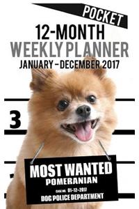 2017 Pocket Weekly Planner - Most Wanted Pomeranian