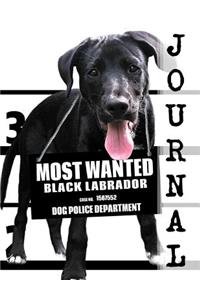 Most Wanted Black Labrador Journal