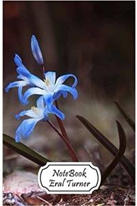 Blue Flower Notebook