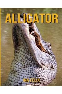 Alligator