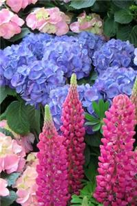 Lupines and Hydrangeas Spring Flower Farmer Garden Journal