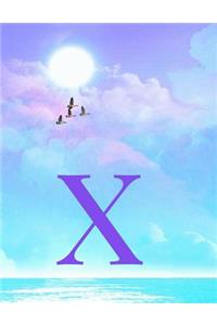 X