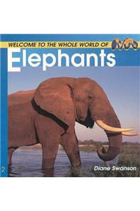 Welcome to the World of Elephants