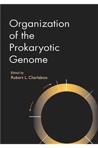 Organization of the Prokaryotic Genome