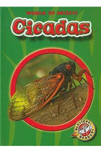 Cicadas