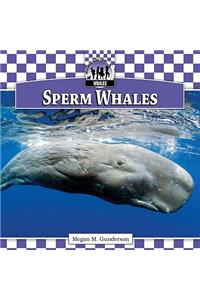 Sperm Whales