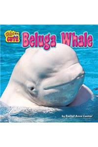 Beluga Whale