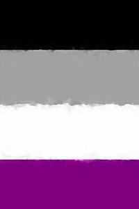 Asexual Pride Flag Sketchbook