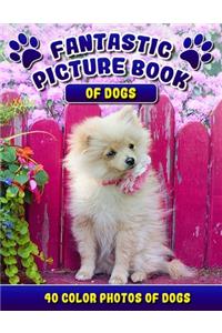 Fantastic Picture Book of Dogs. 40 Color Photos of Dogs