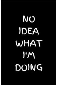 No Idea What I'm Doing