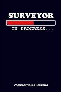 Surveyor in Progress