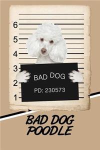 Bad Dog Poodle