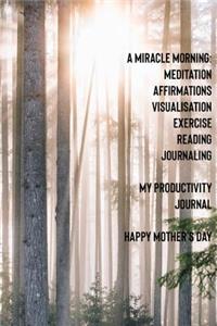 A Miracle Morning Meditation Affirmations Visualisations Exercise Writing Journaling My Productivity Journal