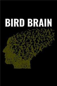 Bird Brain