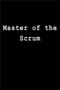 Master of the Scrum