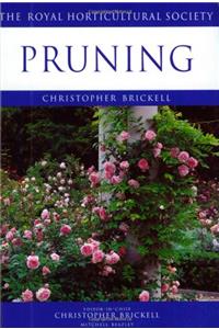 Pruning