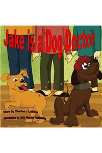 Jake is a Dog Doctor