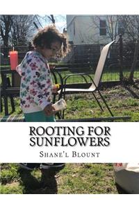 Rooting For Sunflowers