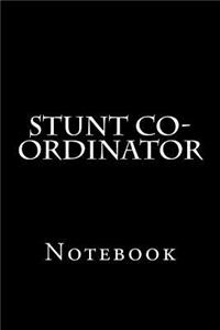 Stunt Co-ordinator