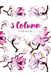 3 Column Ledger