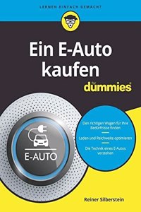 Ein E-Auto kaufen fur Dummies
