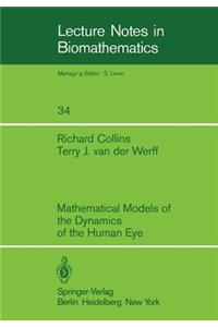 Mathematical Models of the Dynamics of the Human Eye