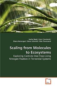 Scaling from Molecules to Ecosystems