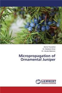 Micropropagation of Ornamental Juniper