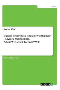 Welche Bedürfnisse sind am wichtigsten? (5. Klasse Mittelschule, Arbeit-Wirtschaft-Technik/AWT)