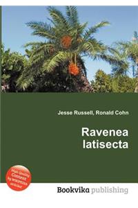 Ravenea Latisecta