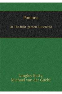 Pomona Or The fruit-garden illustrated