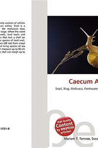 Caecum Armoricum