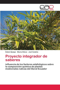 Proyecto integrador de saberes