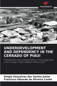 Underdevelopment and Dependency in the Cerrado of Piaui