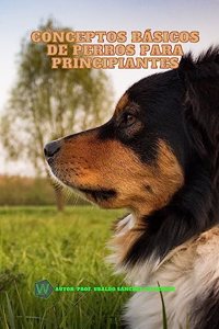 Conceptos básicos de perros para principiantes