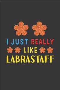 I Just Really Like Labrastaff