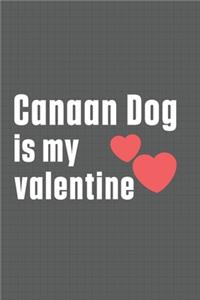 Canaan Dog is my valentine