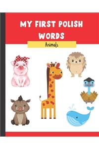 My First Polish Words