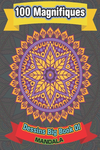 100 Magnifiques Dessins Big Book Of mandala