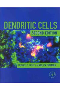 Dendritic Cells