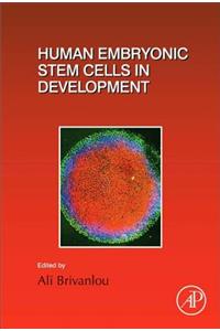 Human Embryonic Stem Cells in Development