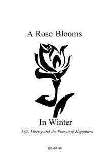 Rose Blooms in Winter