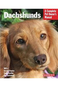 Dachshunds