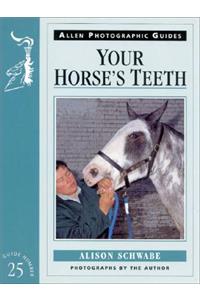 Your Horse's Teeth No 25